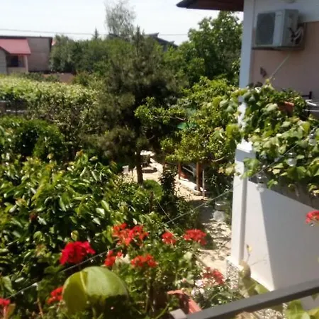 Gillda * Costineşti